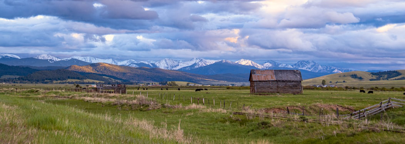 montague