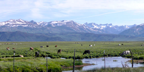 Butte Valley 2