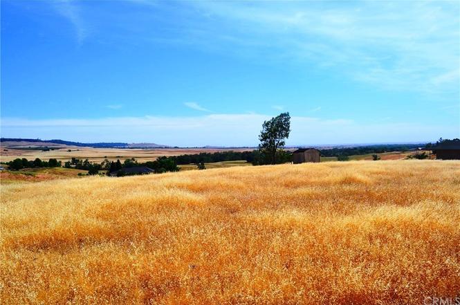 Butte Valley 4