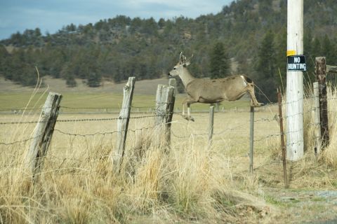 DSC_5037