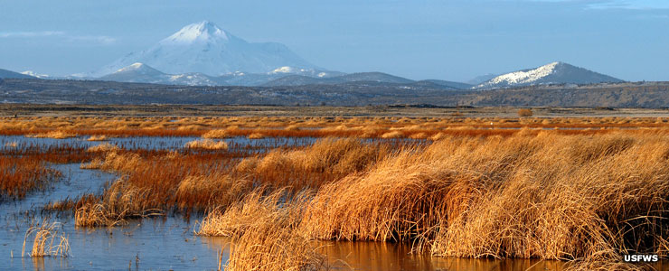 Tule_Lake_Lower_Marsh